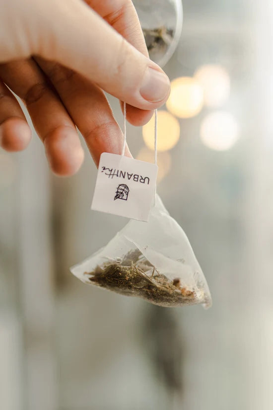 Main tenant un sachet pyramidal biodégradable Urbanithé — tisane Belle Framboise, mélange de plantes visibles à travers le filet