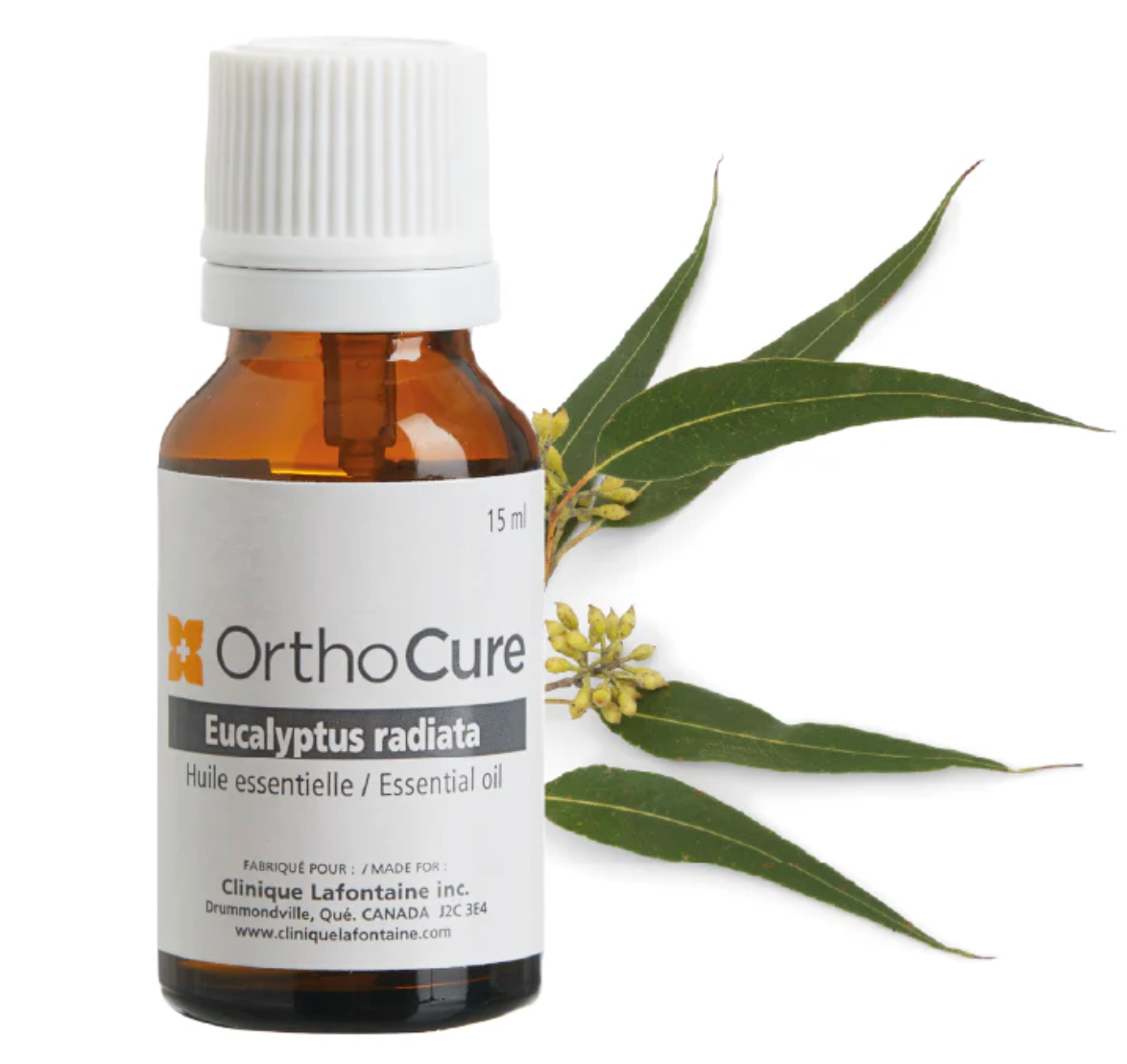 Huile essentielle Eucalyptus - OrthoCure
