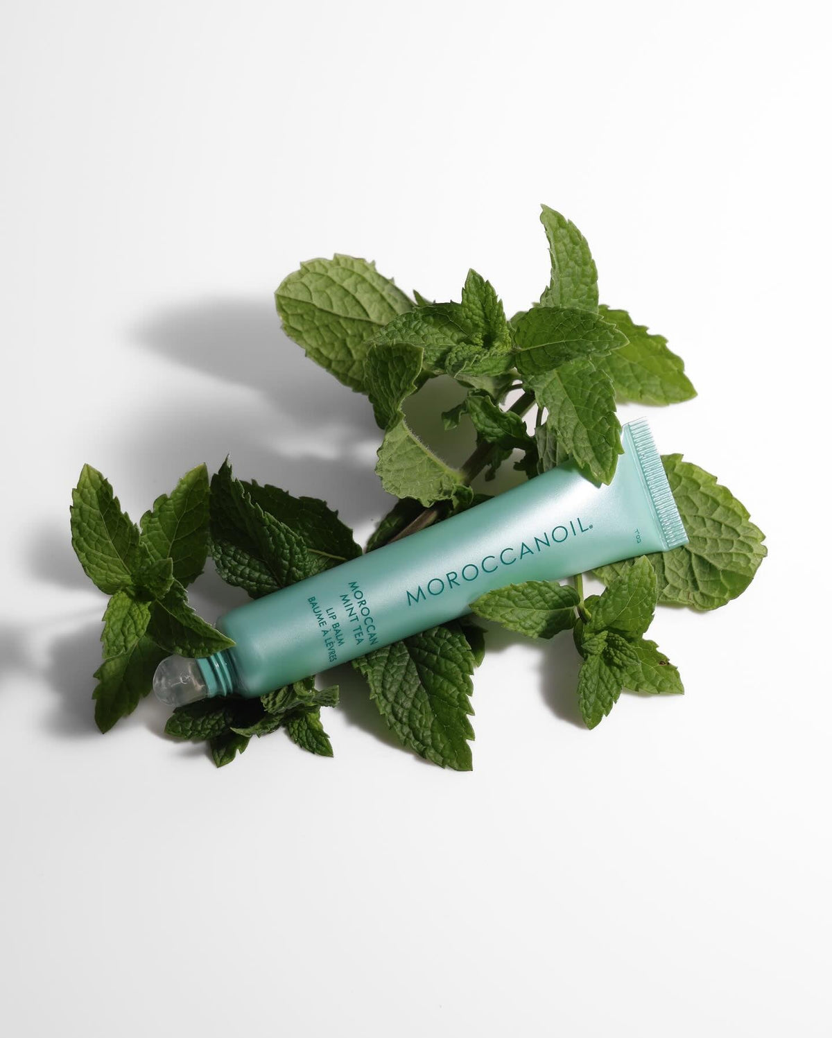 Baume à lèvres Moroccanoil Thé à la Menthe Marocain 15 g — Spa Santé Le Nénuphar
