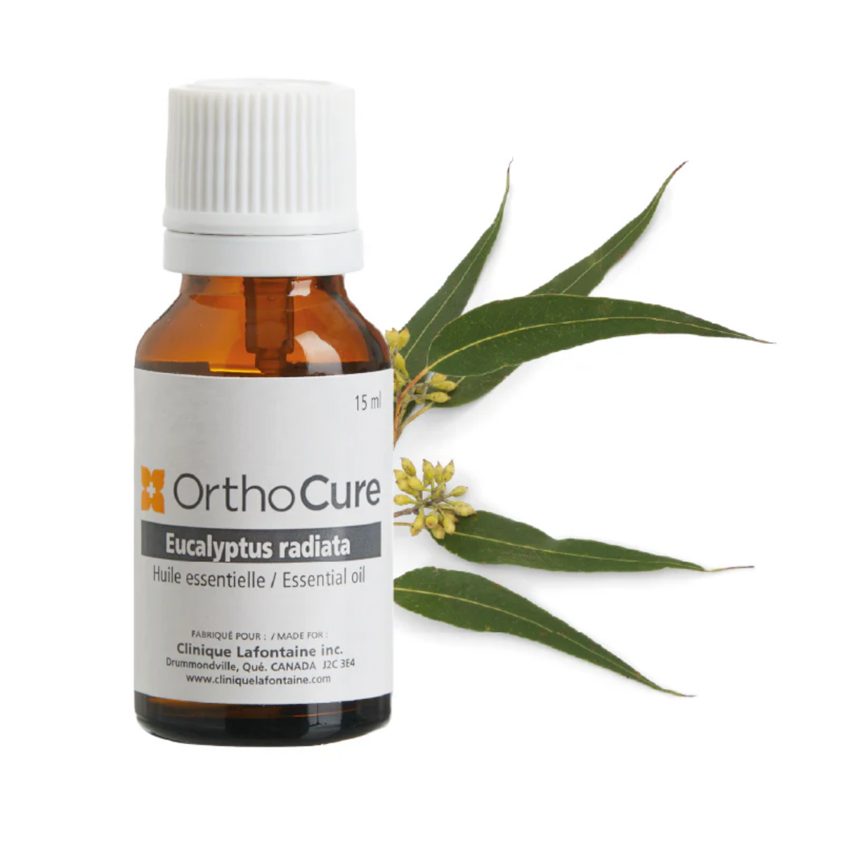 Huile essentielle d'eucalyptus radiata 15 ml OrthoCure — décongestionnante et antivirale — Spa Santé Le Nénuphar