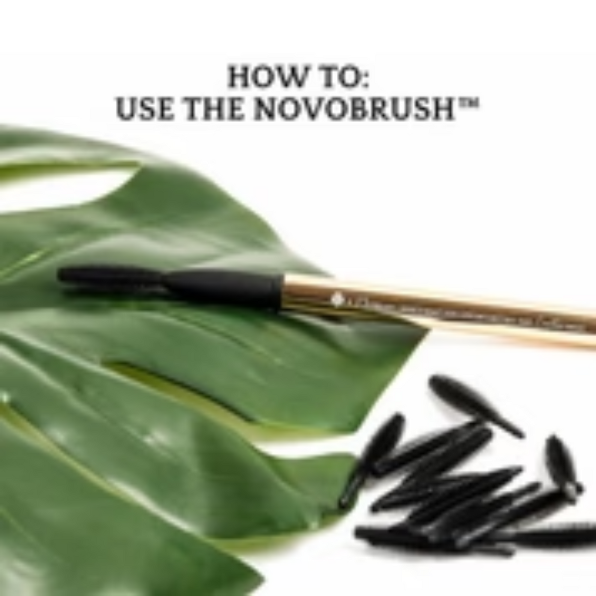 Novobrush™ 3 en 1 Novoqueen — mode d'emploi how to use avec feuille tropicale au Spa Santé Le Nénuphar